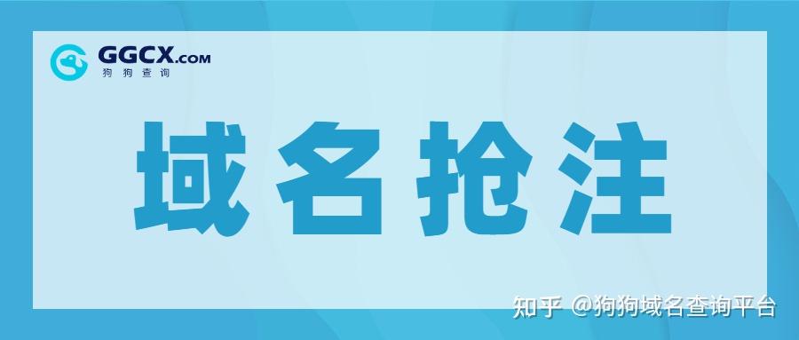 手机中文域名抢注