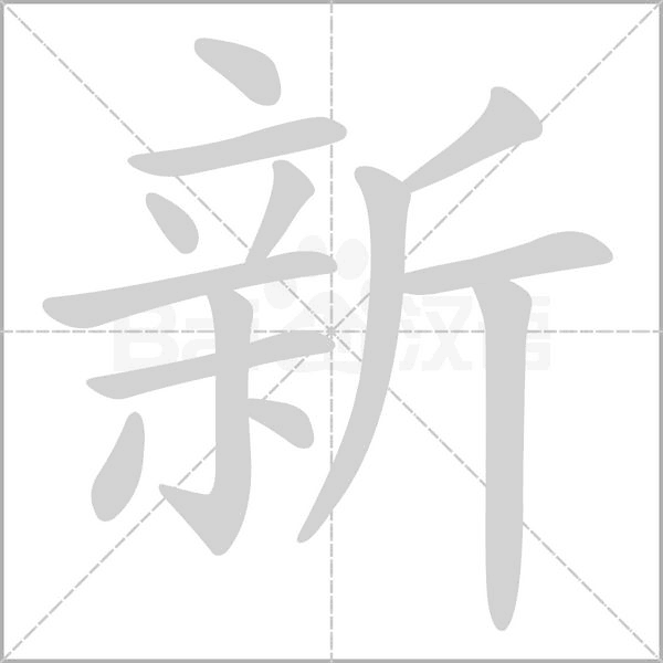 新主机连接不上网
