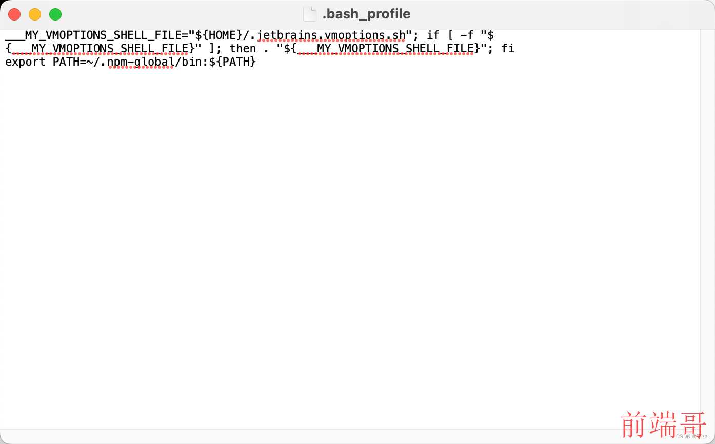 bash: pnpm: command not found