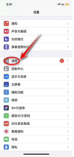 苹果手机不能访问域名