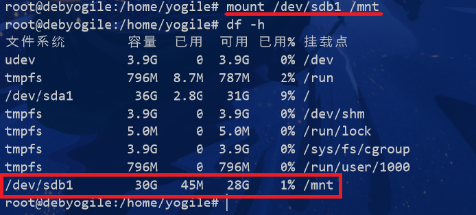 debian挂载硬盘