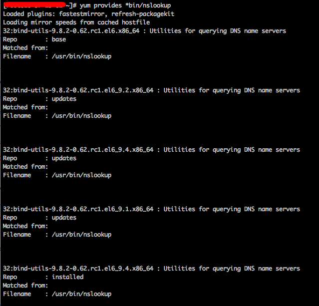 centos nslookup