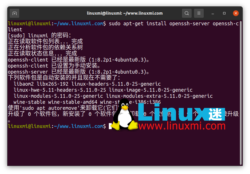 ubuntu ssh root