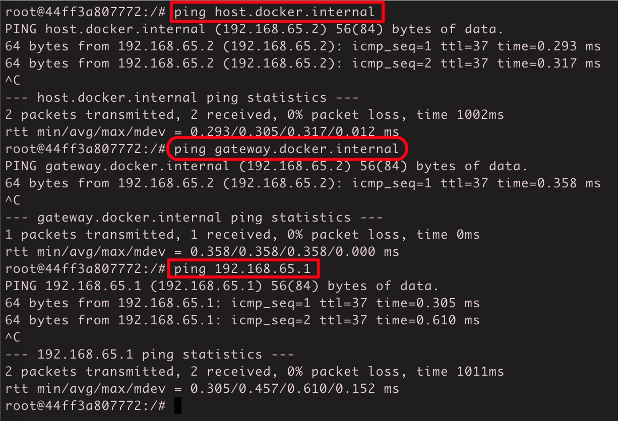 curl ifconfig.me