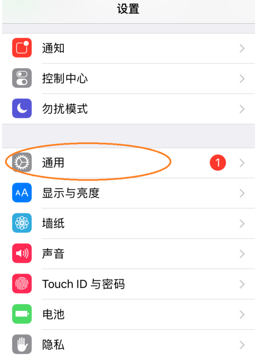 苹果手机不能访问域名