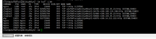 linux查看8080端口被哪个进程占用