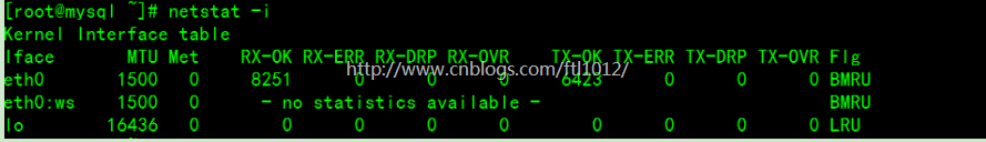 netstat command not found