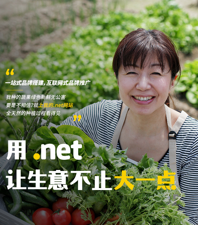 花生壳免费域名流量