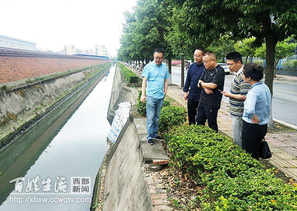 成都青白江区环保备案