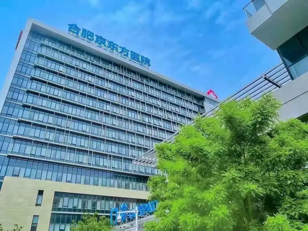 刚刚合肥14盘齐备案