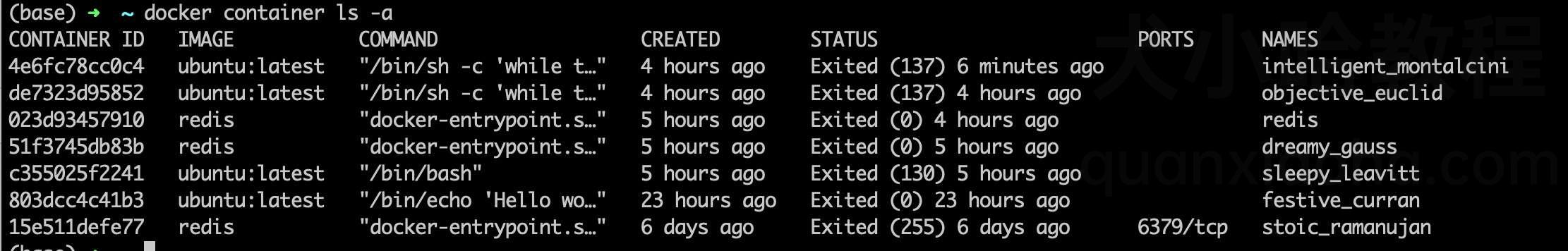 docker容器自动停止原因