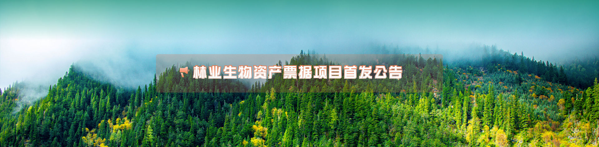 黔龙地产沙坎菜市场是否备案