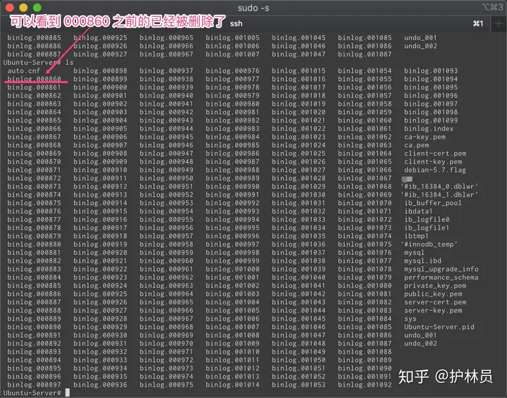 mysql purge binlog