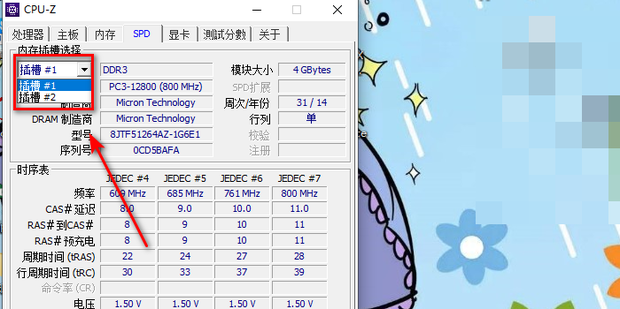内存条是插在主机哪里的