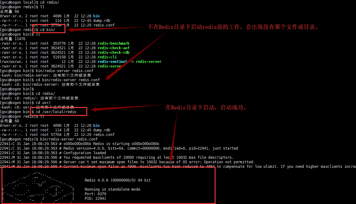 linux启动redis命令行