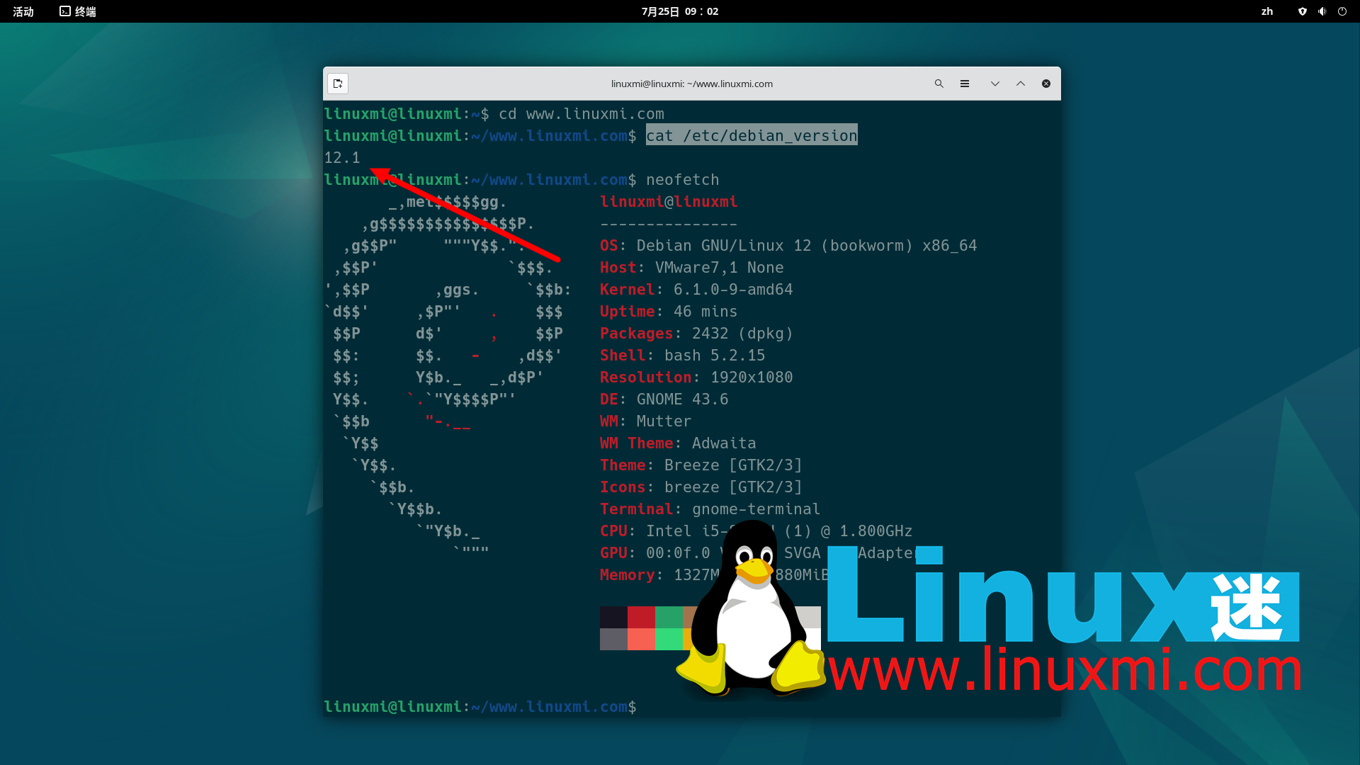 debian12 防火墙