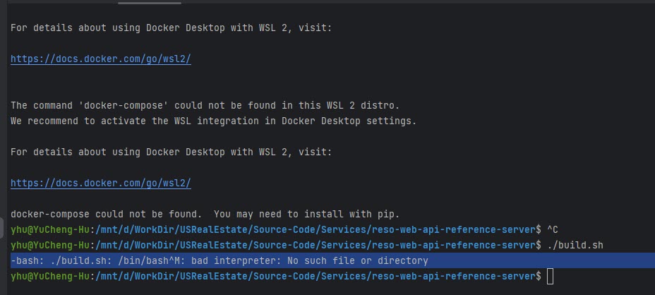 bad interpreter